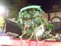 262-IMG010_5926.JPG.small.jpeg