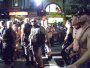 314-IMG010_5991.JPG.small.jpeg