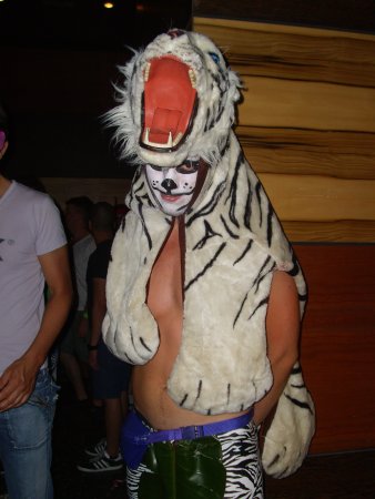 549-IMG010_6289.JPG.medium.jpeg